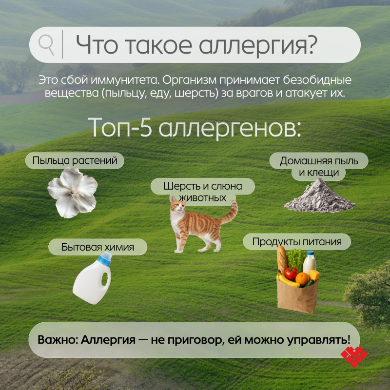 В Югре стартовала Неделя профилактики аллергических заболеваний