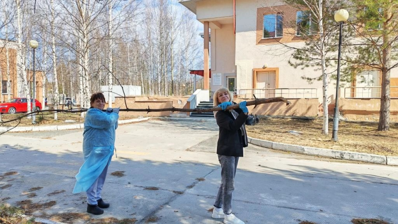 Сотрудники Лангепасской городской больницы вышли на субботник